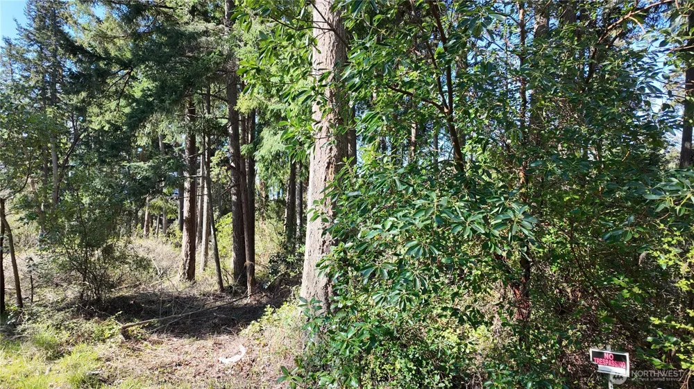 0 Wagner Road Camano Island, WA 98282