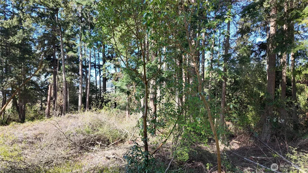0 Wagner Road Camano Island, WA 98282