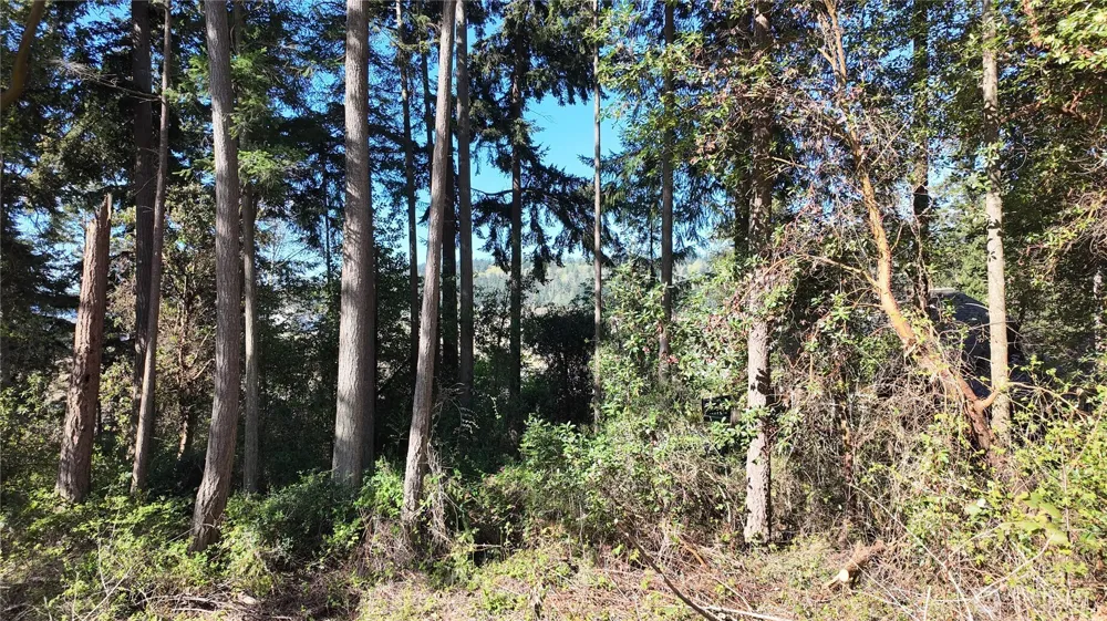 0 Wagner Road Camano Island, WA 98282