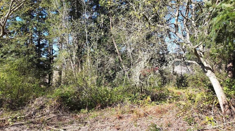 0 Wagner Road Camano Island, WA 98282