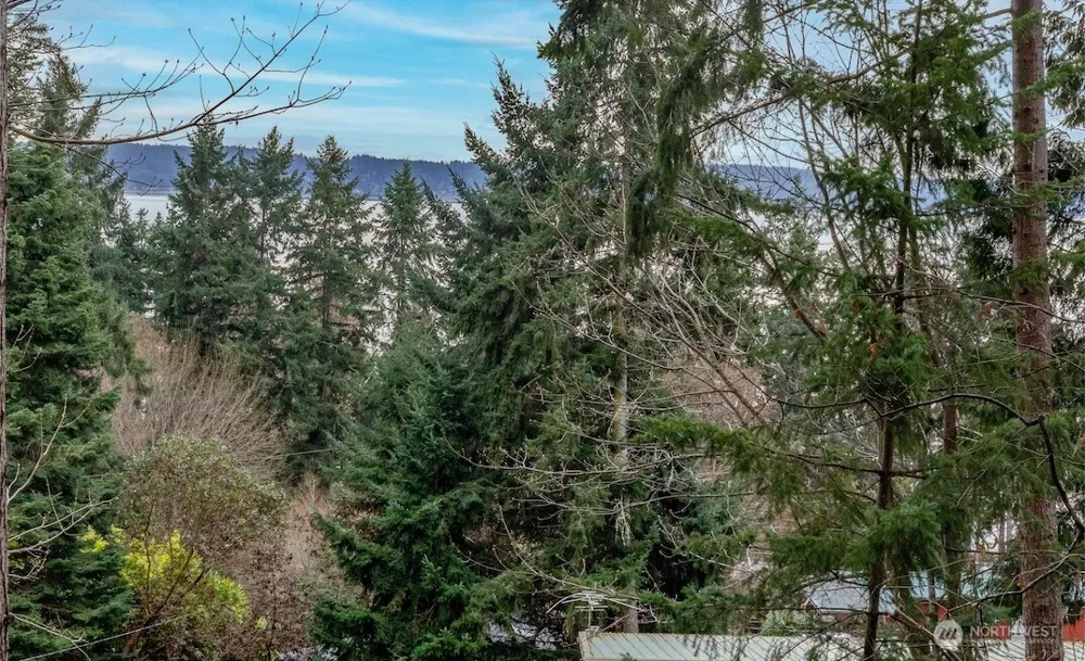 2 Huckleberry Lane Port Ludlow, WA 98365