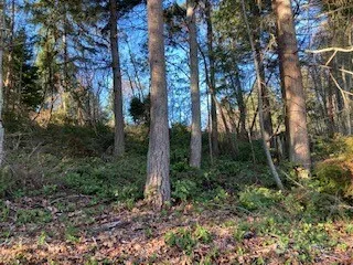 2 Huckleberry Lane Port Ludlow, WA 98365
