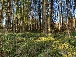 2 Huckleberry Lane Port Ludlow, WA 98365