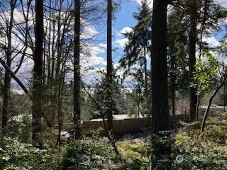 2 Huckleberry Lane Port Ludlow, WA 98365