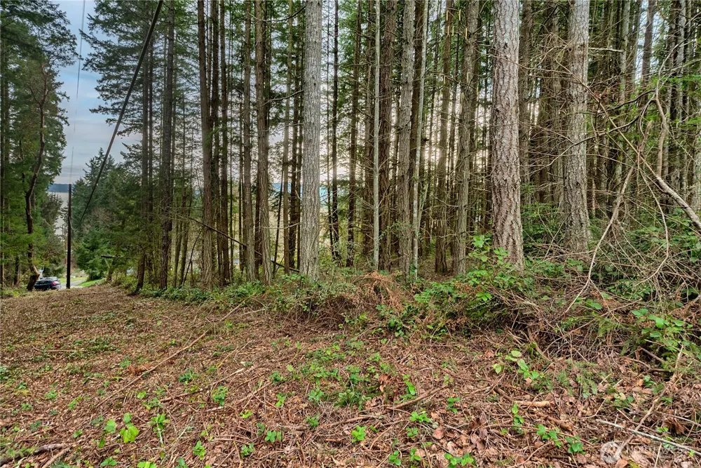 3 Huckleberry Lane Port Ludlow, WA 98365