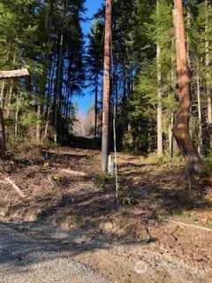 3 Huckleberry Lane Port Ludlow, WA 98365