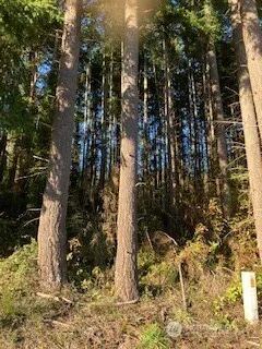 3 Huckleberry Lane Port Ludlow, WA 98365