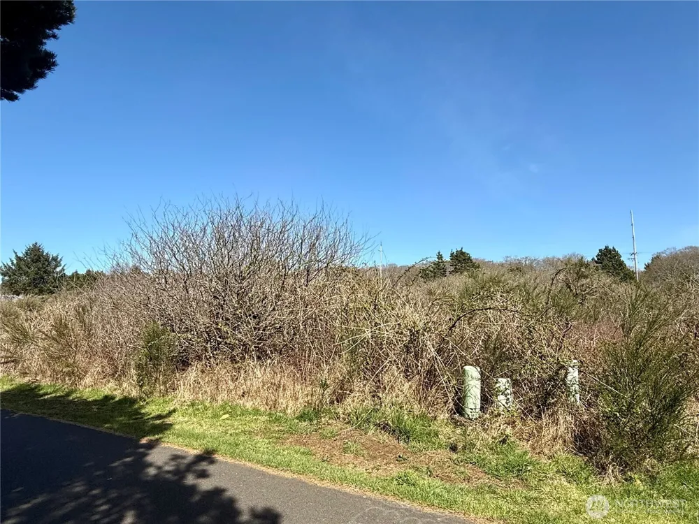 2 XXX Francis Seamore Lane Grayland, WA 98547