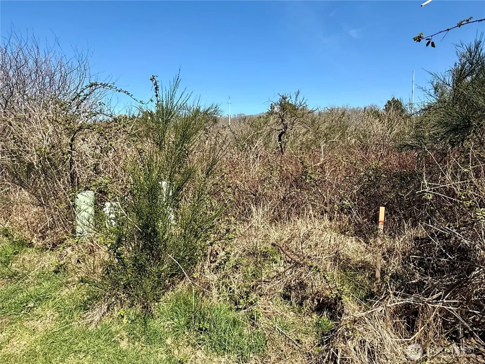 2 XXX Francis Seamore Lane Grayland, WA 98547