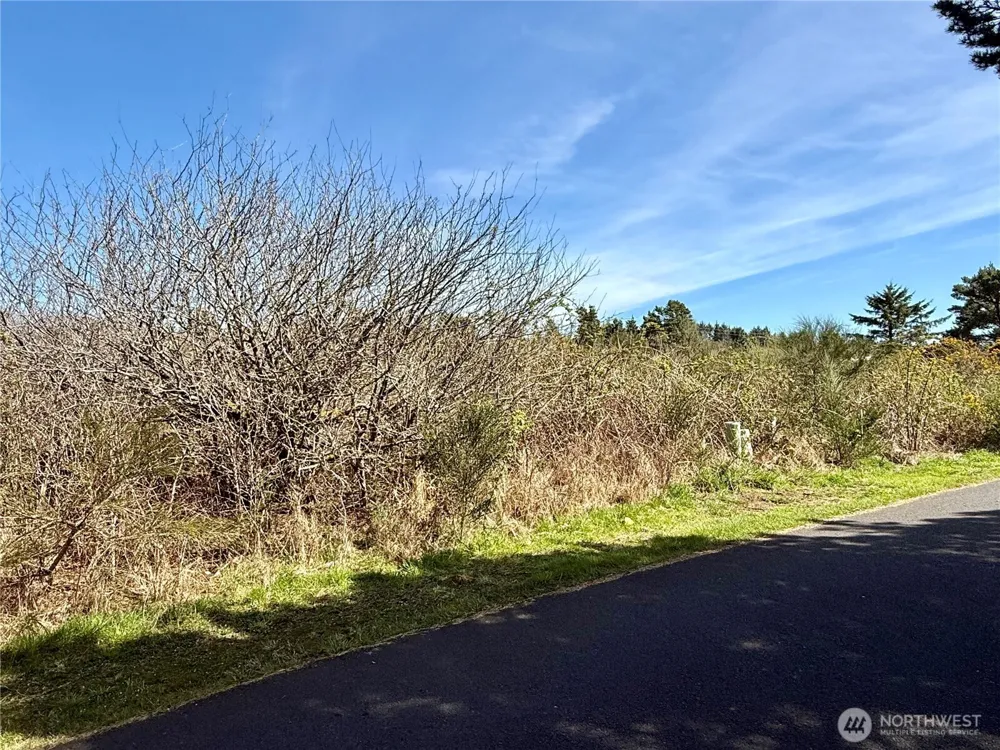 2 XXX Francis Seamore Lane Grayland, WA 98547