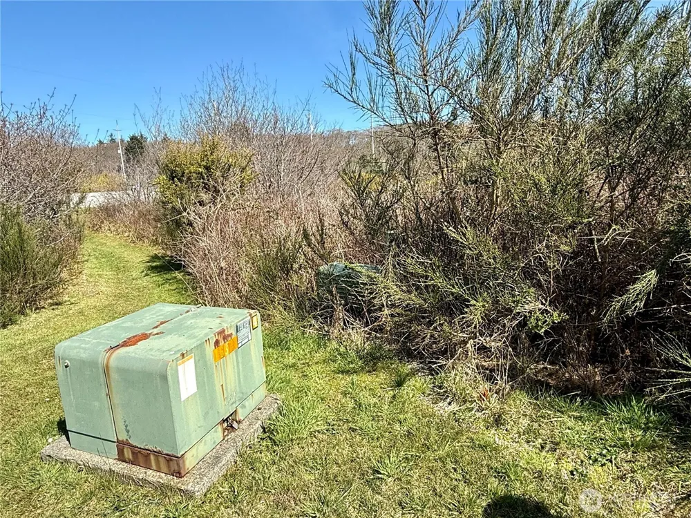 2 XXX Francis Seamore Lane Grayland, WA 98547