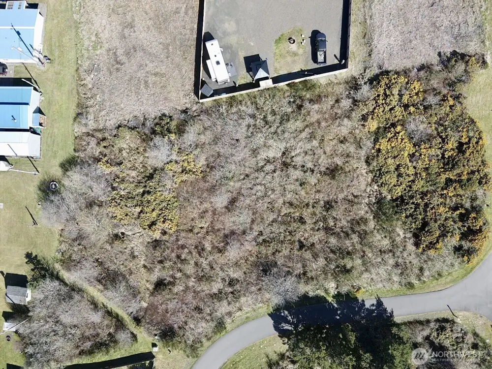 2 XXX Francis Seamore Lane Grayland, WA 98547