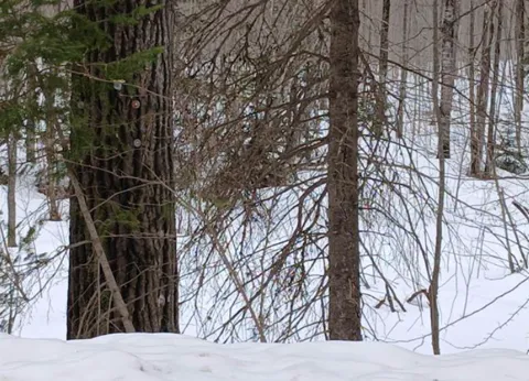 Lot 1 County Line Lake Crossroad