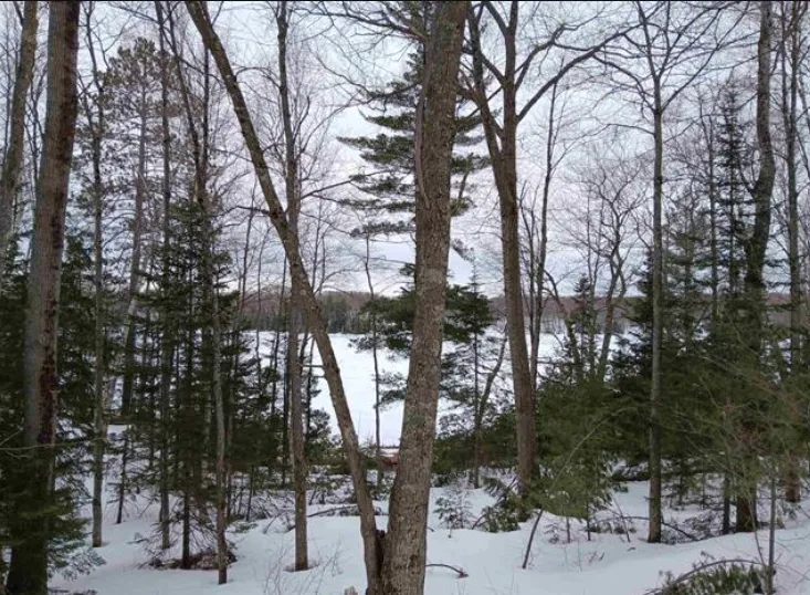 Lot 1 County Line Lake Crossroad Watersmeet, MI 49969