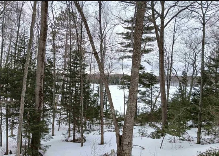 Lot 1 County Line Lake Crossroad Watersmeet, MI 49969