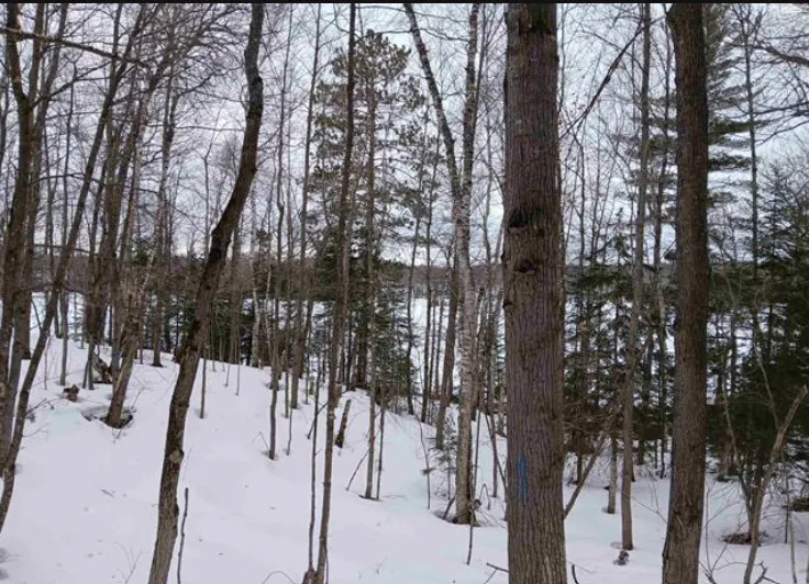 Lot 1 County Line Lake Crossroad Watersmeet, MI 49969