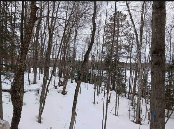 Lot 1 County Line Lake Crossroad Watersmeet, MI 49969