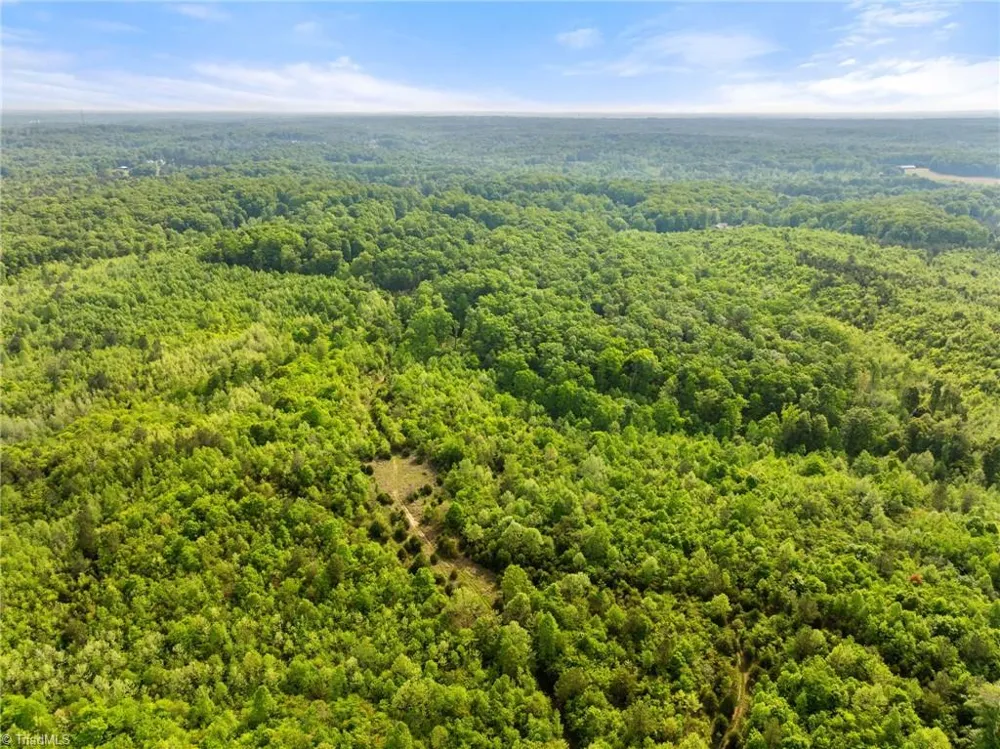 0 Hauser Road Lewisville, NC 27023