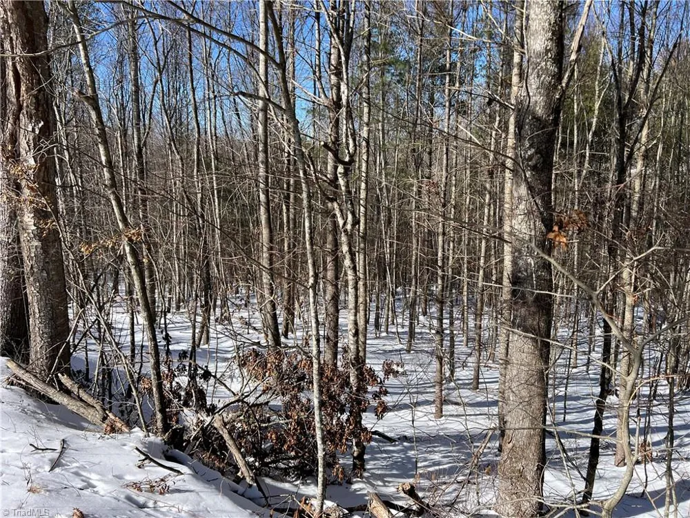 TBD (Lots 13 & 14) Timberwilde Drive Laurel Springs, NC 28644