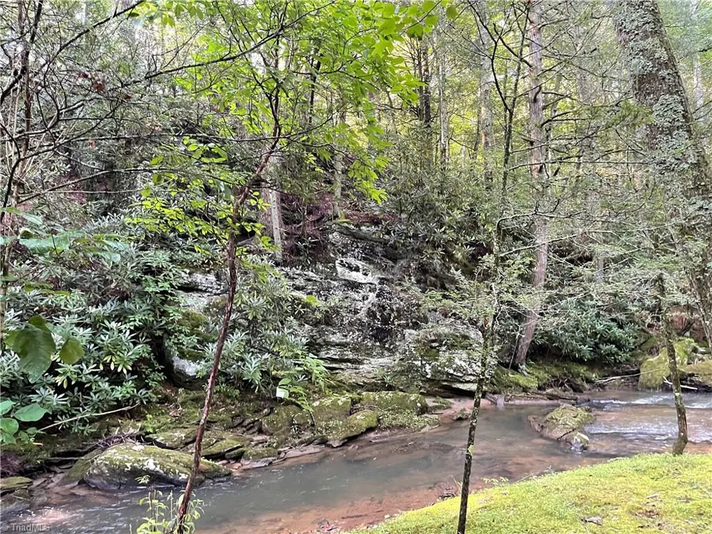 TBD (Lots 13 & 14) Timberwilde Drive Laurel Springs, NC 28644
