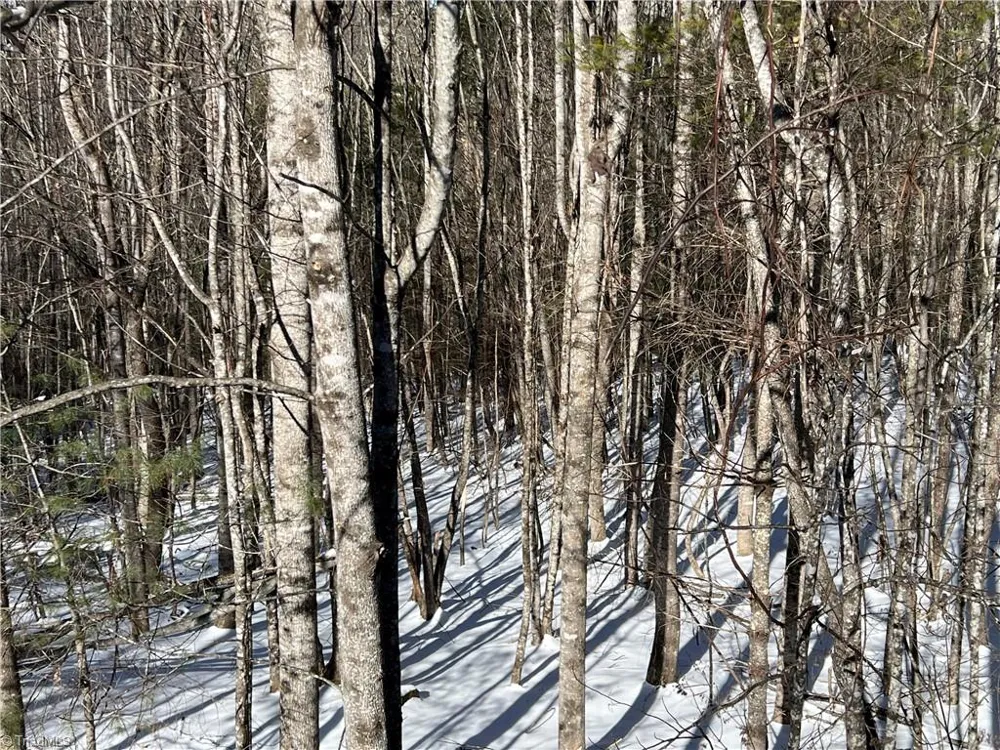 TBD (Lots 13 & 14) Timberwilde Drive Laurel Springs, NC 28644