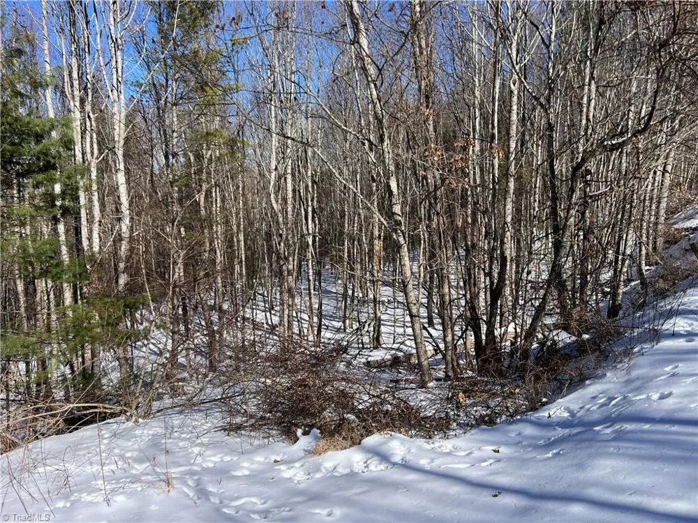 TBD (Lots 13 & 14) Timberwilde Drive Laurel Springs, NC 28644