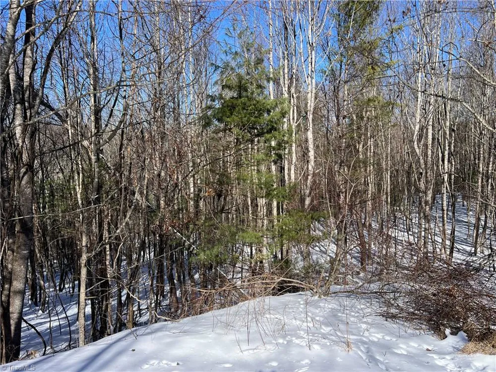 TBD (Lots 13 & 14) Timberwilde Drive Laurel Springs, NC 28644