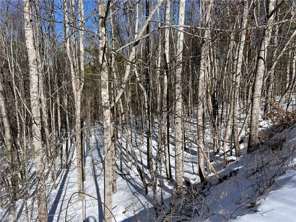 TBD (Lots 13 & 14) Timberwilde Drive Laurel Springs, NC 28644