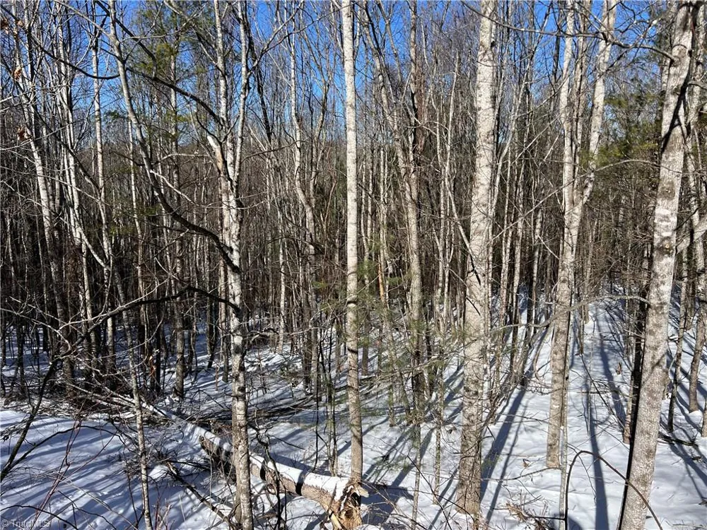 TBD (Lots 13 & 14) Timberwilde Drive Laurel Springs, NC 28644