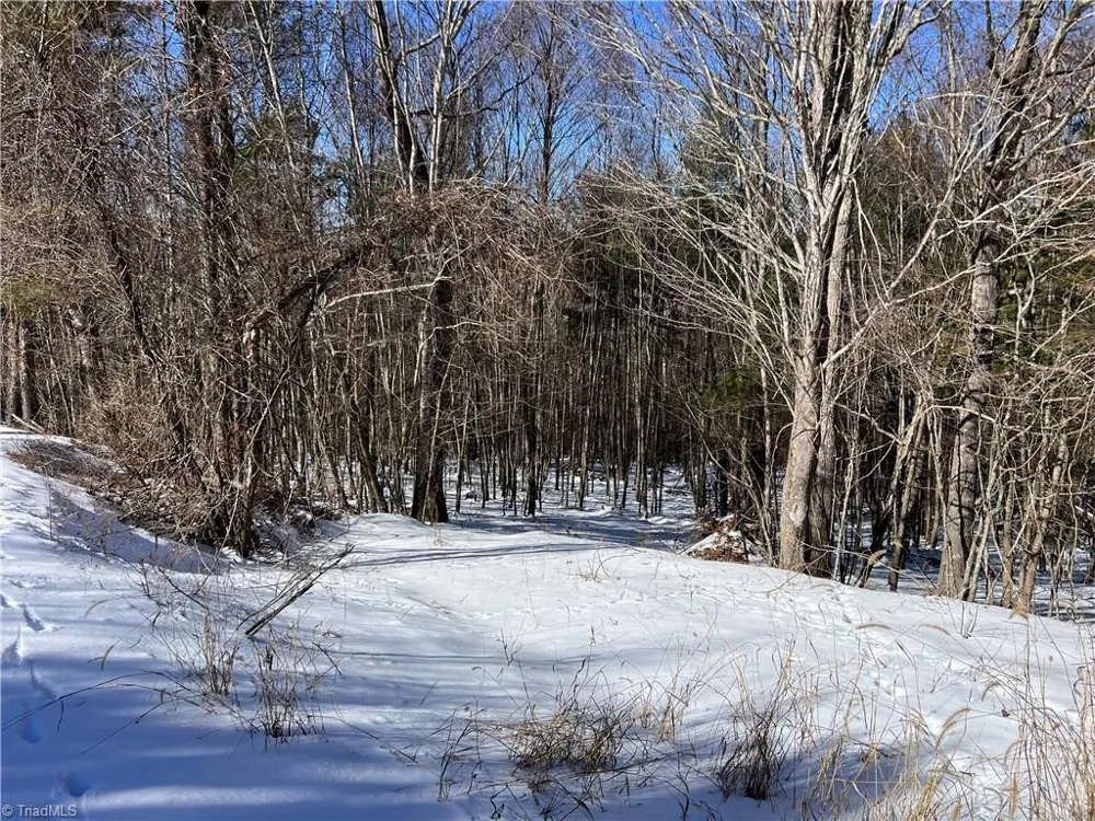 TBD (Lots 13 & 14) Timberwilde Drive Laurel Springs, NC 28644