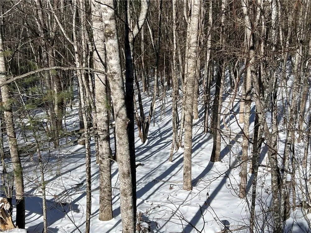 TBD (Lots 13 & 14) Timberwilde Drive Laurel Springs, NC 28644
