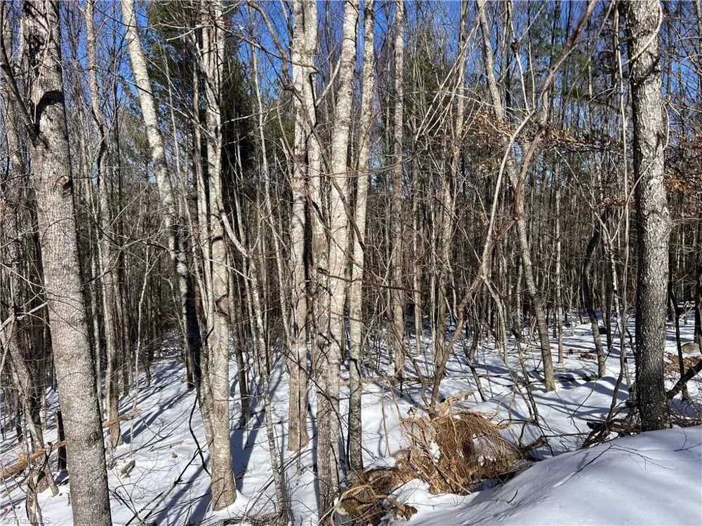 TBD (Lots 13 & 14) Timberwilde Drive Laurel Springs, NC 28644