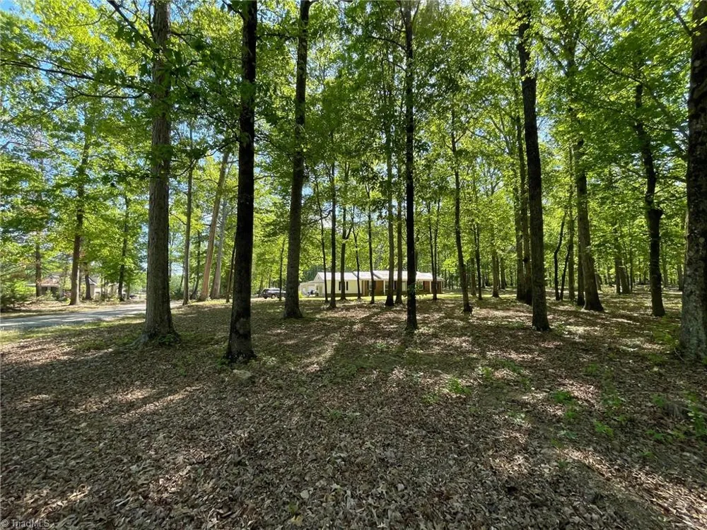 7235 Ledbetter Road Climax, NC 27233
