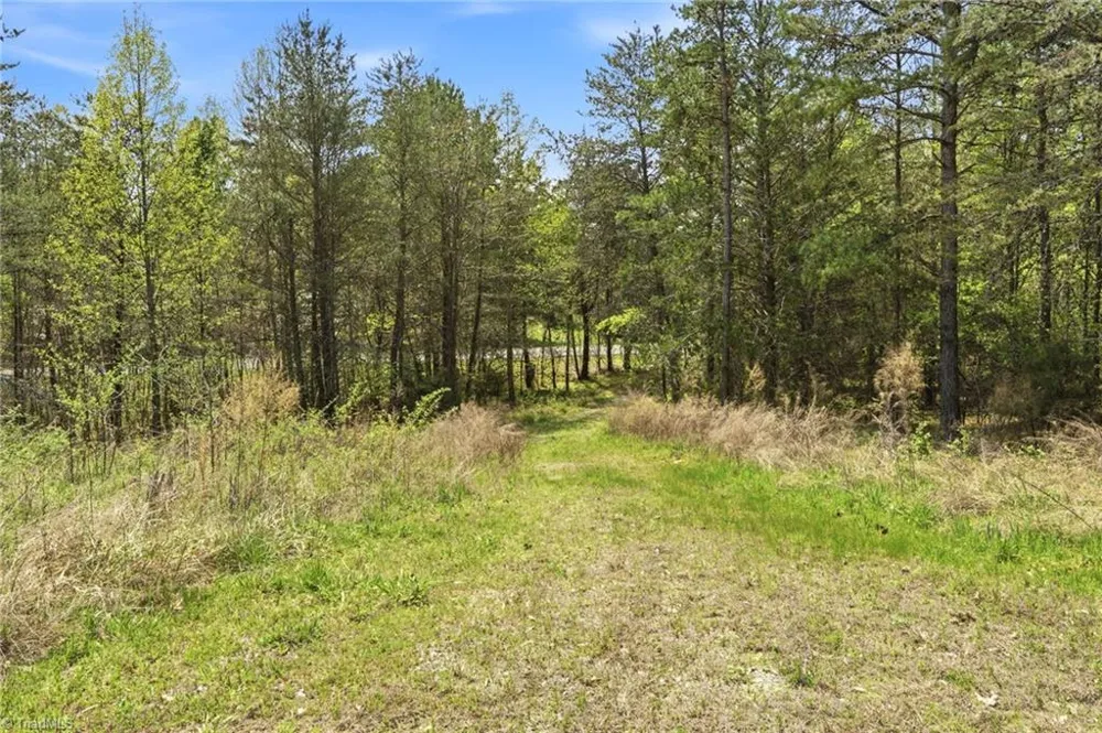 1355 Spainhour Mill Road Pinnacle, NC 27043