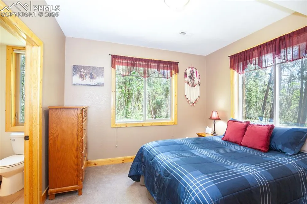 416 Foxtail Drive Fairplay, CO 80440