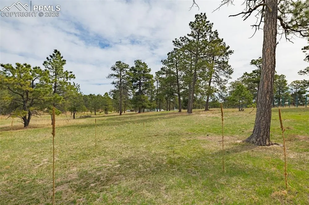 13354 Meridian Road Elbert, CO 80106