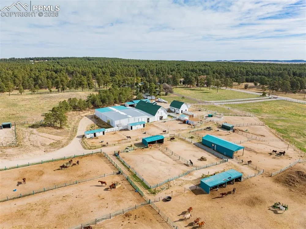 13354 Meridian Road Elbert, CO 80106
