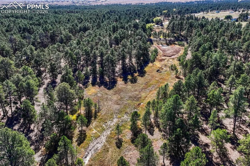13354 Meridian Road Elbert, CO 80106