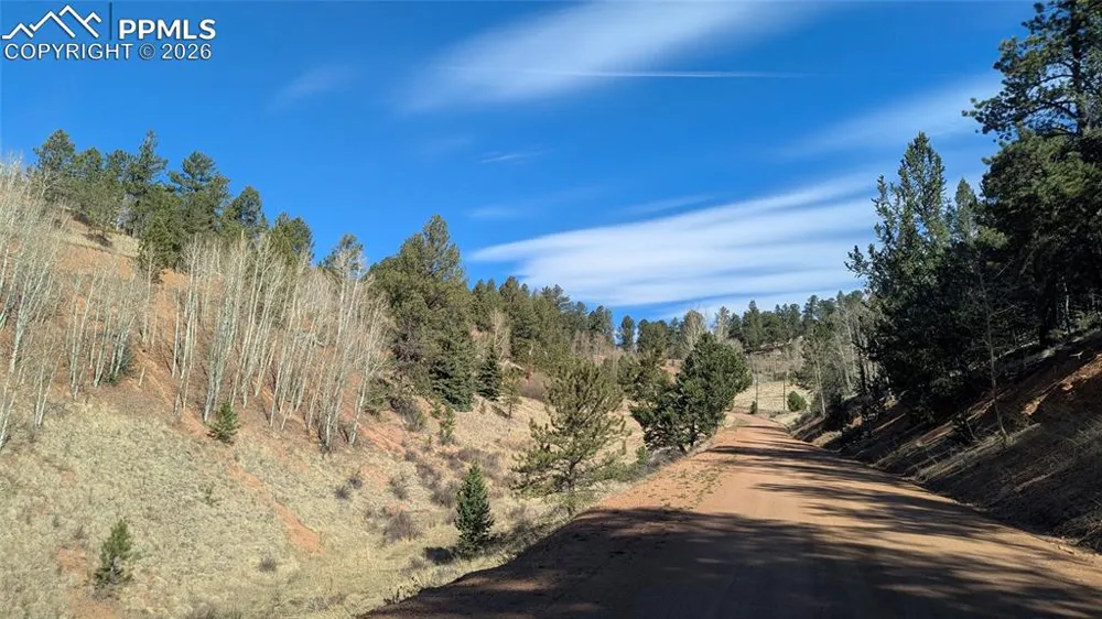 136 Valley Road Divide, CO 80814