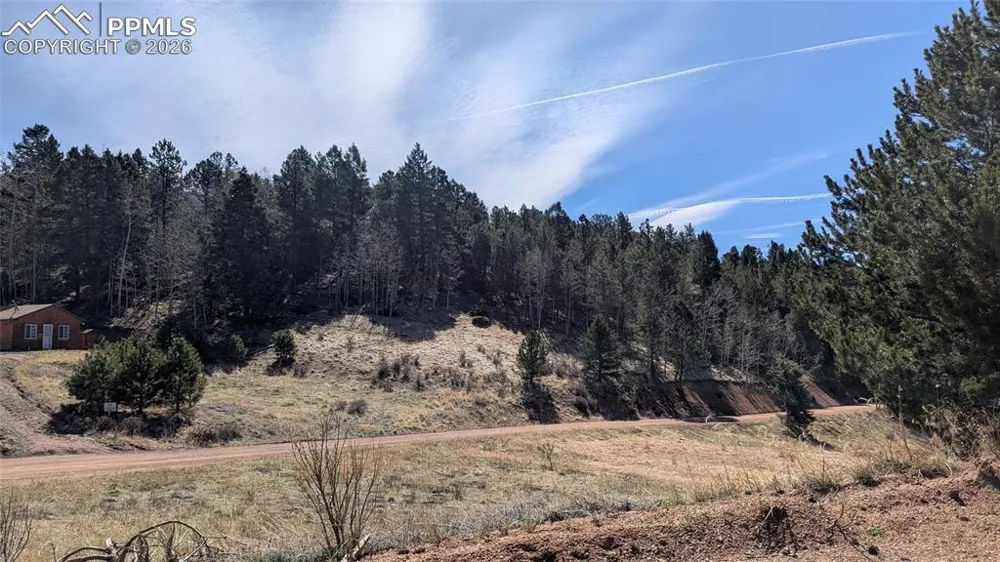 136 Valley Road Divide, CO 80814