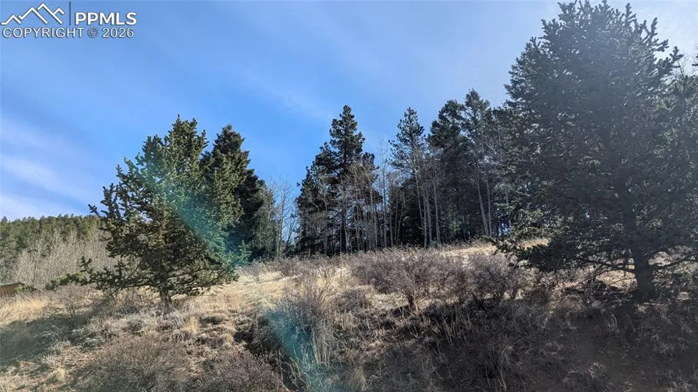 136 Valley Road Divide, CO 80814