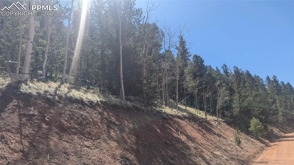 136 Valley Road Divide, CO 80814