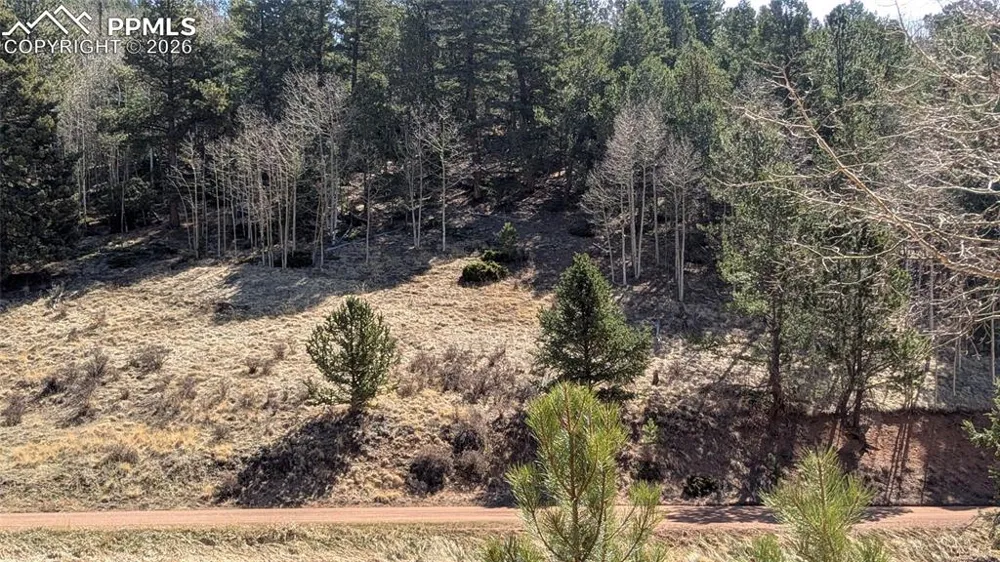 136 Valley Road Divide, CO 80814