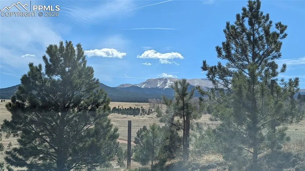 924 Will Scarlet Drive Divide, CO 80814