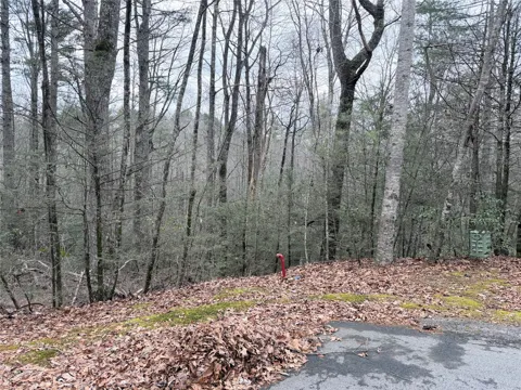 11 Mountain Laurel Court