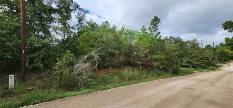 Makaha Drive