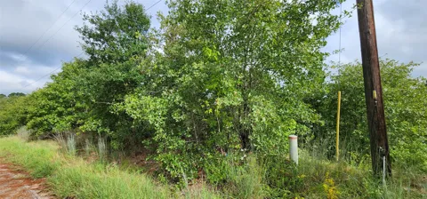 Homonu (Lot 105) Court