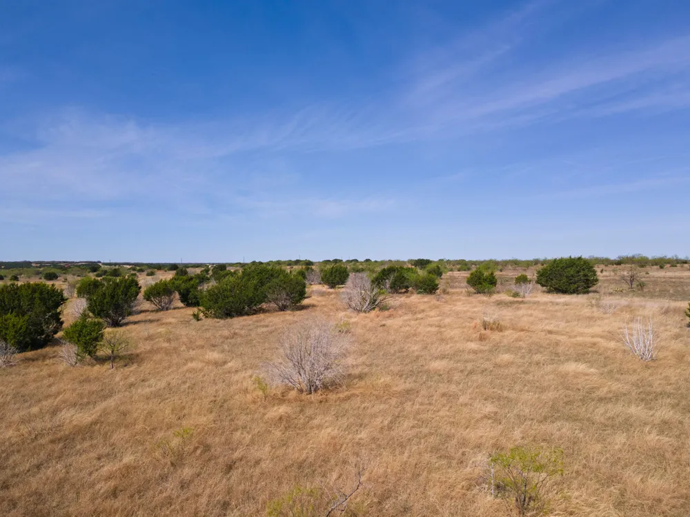 153 Heartleaf Drive Adamsville, TX 76550