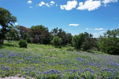 2006 Brazos