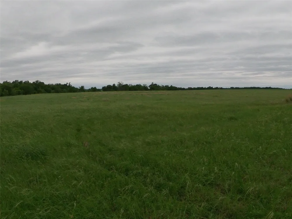 FM 112 ROAD Thrall, TX 76578